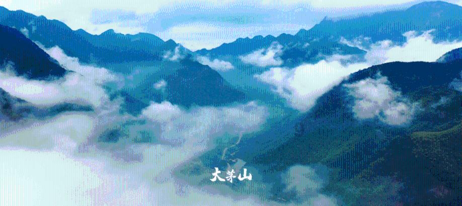 唤醒沉睡的大头